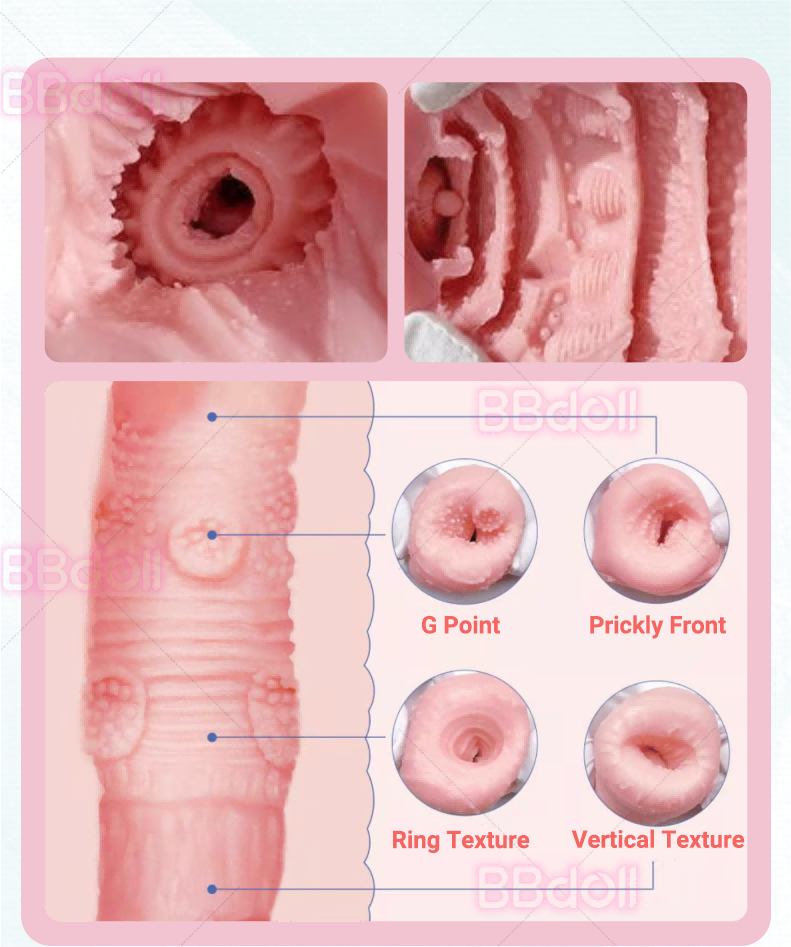 sex doll vagina structure